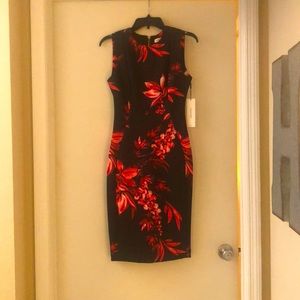Calvin Klein Dress